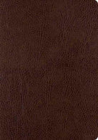 ESV Single Column Journaling Bible, Large Print - 9781433555381