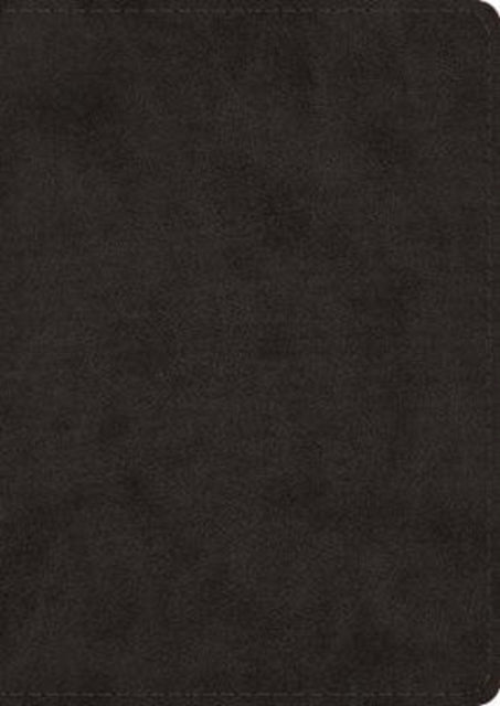 ESV Study Bible, Large Print - 9781433568800