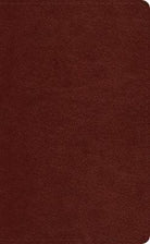 ESV Pocket Bible - 9781433568848