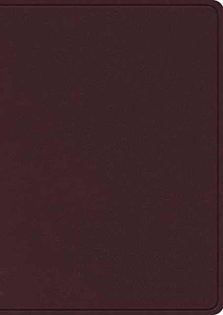 ESV Study Bible, Large Print - 9781433575938