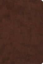 ESV Holy Bible : Dyslexia-Friendly Edition (TruTone, Brown) - 9781433598357