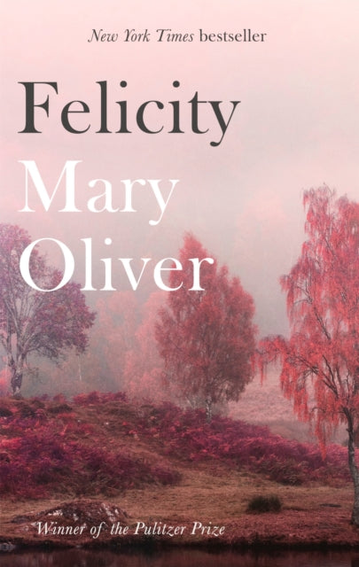 Felicity - 9781472153739