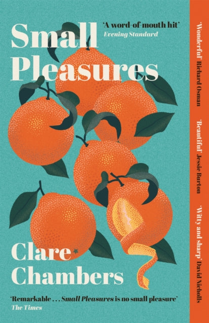 Small Pleasures : Longlisted for the Women's Prize for Fiction - 9781474613903