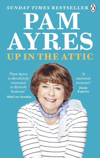 Up in the Attic - 9781529104943