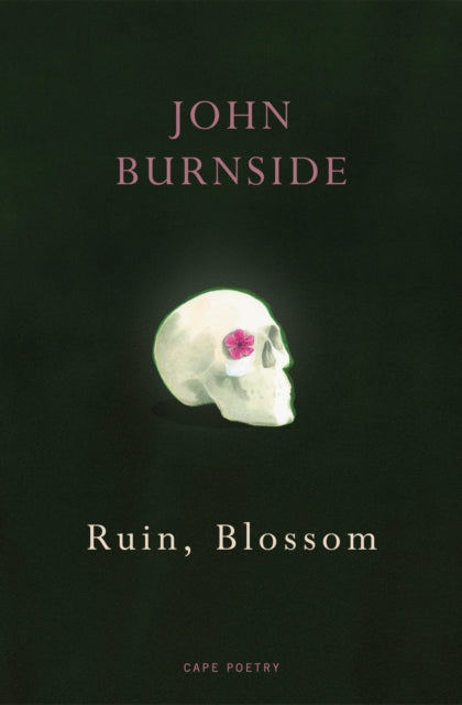 Ruin, Blossom - 9781529909258
