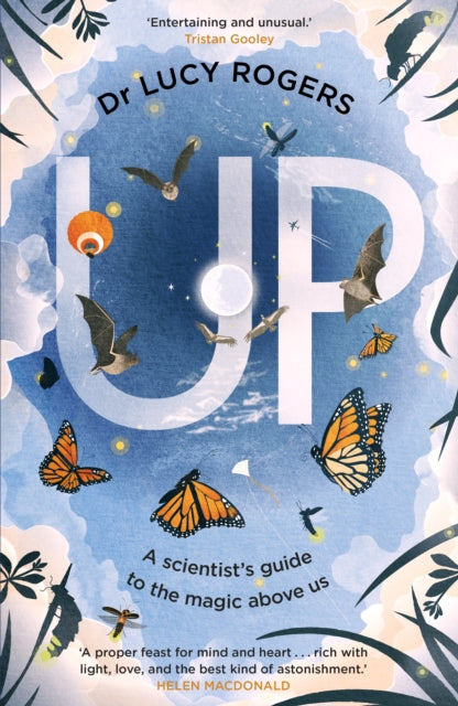 Up : A Journey Through Extraordinary Skies