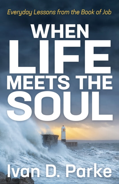 When Life Meets the Soul : Everyday Lessons from the Book of Job - 9781631958892