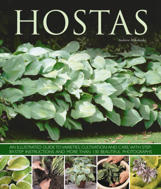 Hostas : an Illustrated Guide to Varieties, Cultivation and Care, with Step-by-step Instructions and More Than 130 Beautiful Photographs - 9781780192383