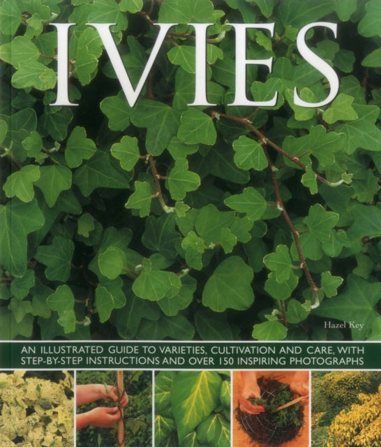Ivies - 9781780193687