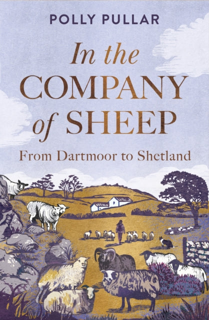In the Company of Sheep : From Dartmoor to Shetland