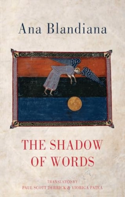 The Shadow of Words - 9781780375403