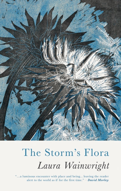 The Storm's Flora - 9781781727911