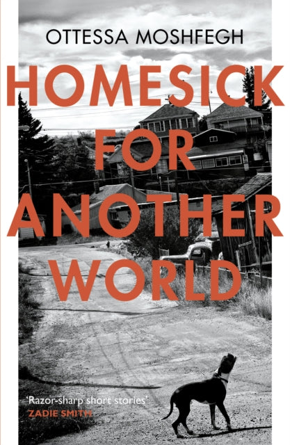 Homesick For Another World - 9781784701505