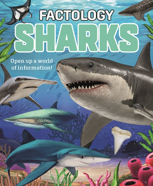 Factology: Sharks : Open Up a World of Information! - 9781787081789