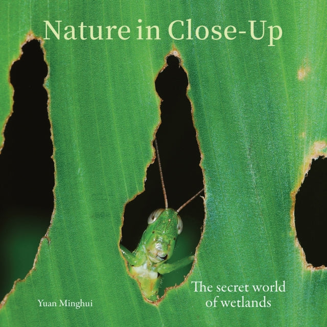 Nature in Close-Up : The secret world of wetlands