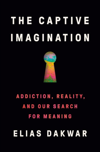 The Captive Imagination : Addiction, Reality and our Search for Meaning - 9781802063769