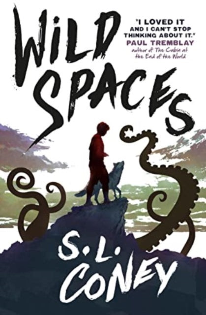 Wild Spaces - 9781803365510