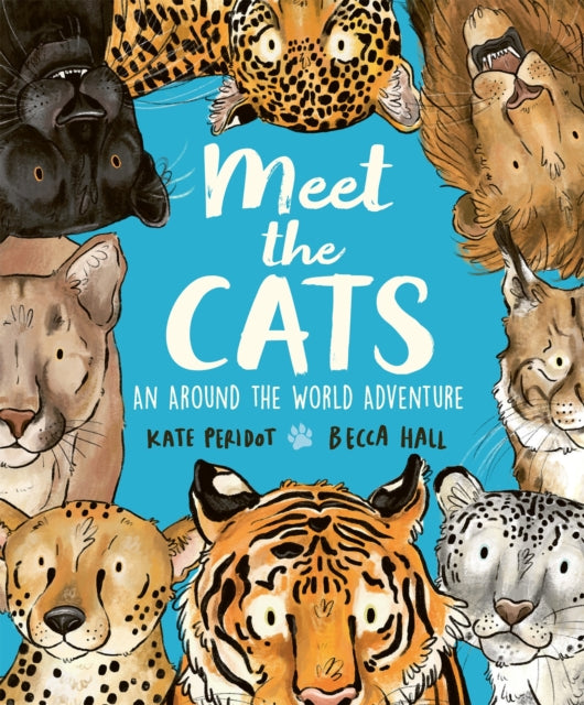 Meet the Cats - 9781804538296