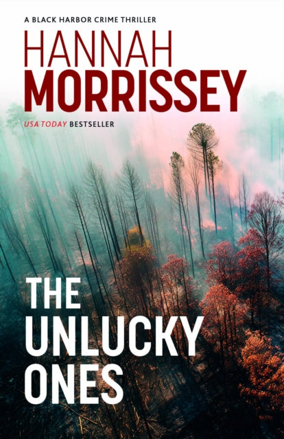 The Unlucky Ones : A gripping small-town noir with a deadly love affair at its core (Black Harbor 4)
