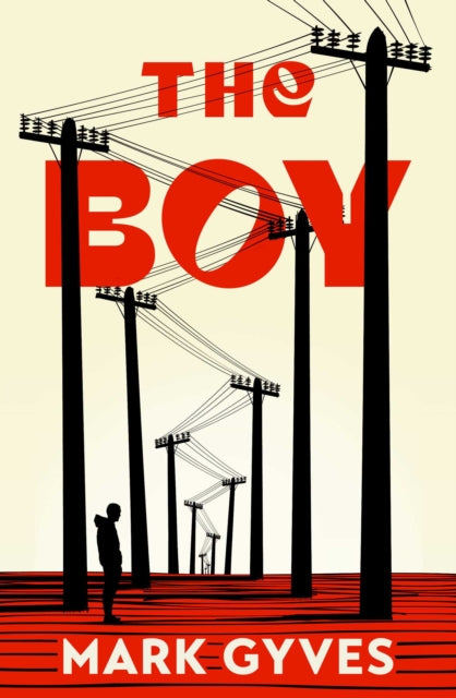 The Boy : A searing, unflinching debut that announces a major new voice in Irish fiction