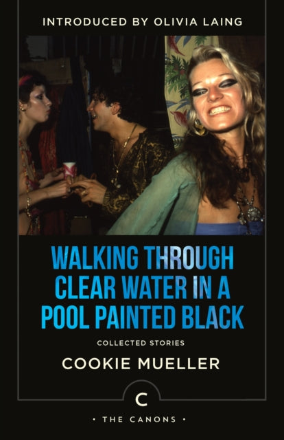 Walking Through Clear Water In a Pool Painted Black : Collected Stories - 9781838858483