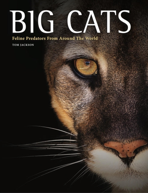 Big Cats : Feline Predators From Around The World