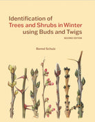 Identification of Trees and Shrubs in Winter using Buds and Twigs - 9781842468340