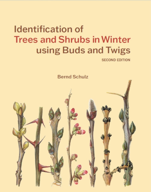 Identification of Trees and Shrubs in Winter using Buds and Twigs - 9781842468340