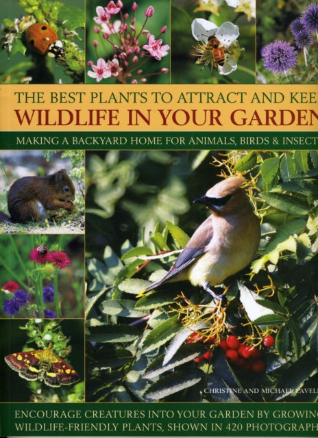 Best Plants to Attract and Keep Wildlife in the Garden - 9781844769650