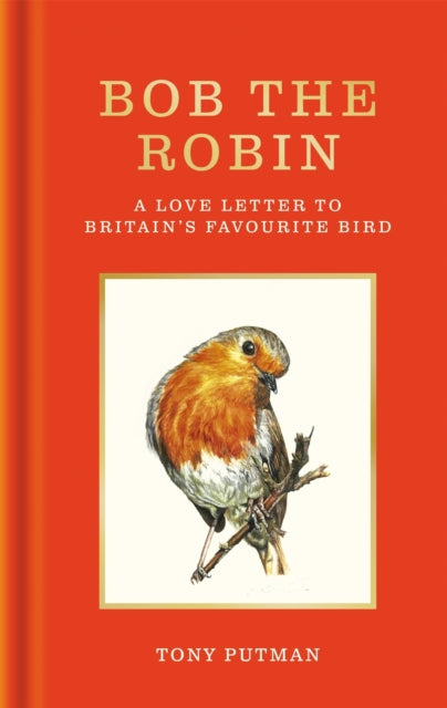 Bob the Robin : A true story of the friendship between one man and Britain's favourite garden bird