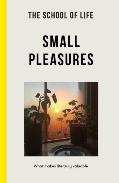 Small Pleasures : What makes life truly valuable - 9781915087034
