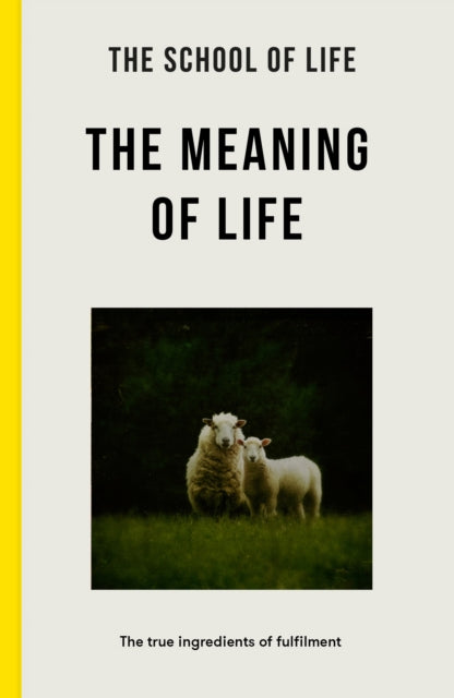 The Meaning of Life : the true ingredients of fulfilment - 9781916753334