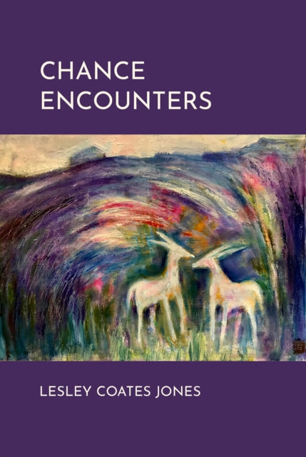 Chance Encounters - 9781917625029