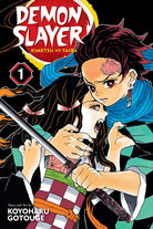 Demon Slayer: Kimetsu no Yaiba, Vol. 1 : Volume 1 - 9781974700523