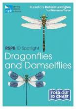 RSPB ID Spotlight - Dragonflies and Damselflies